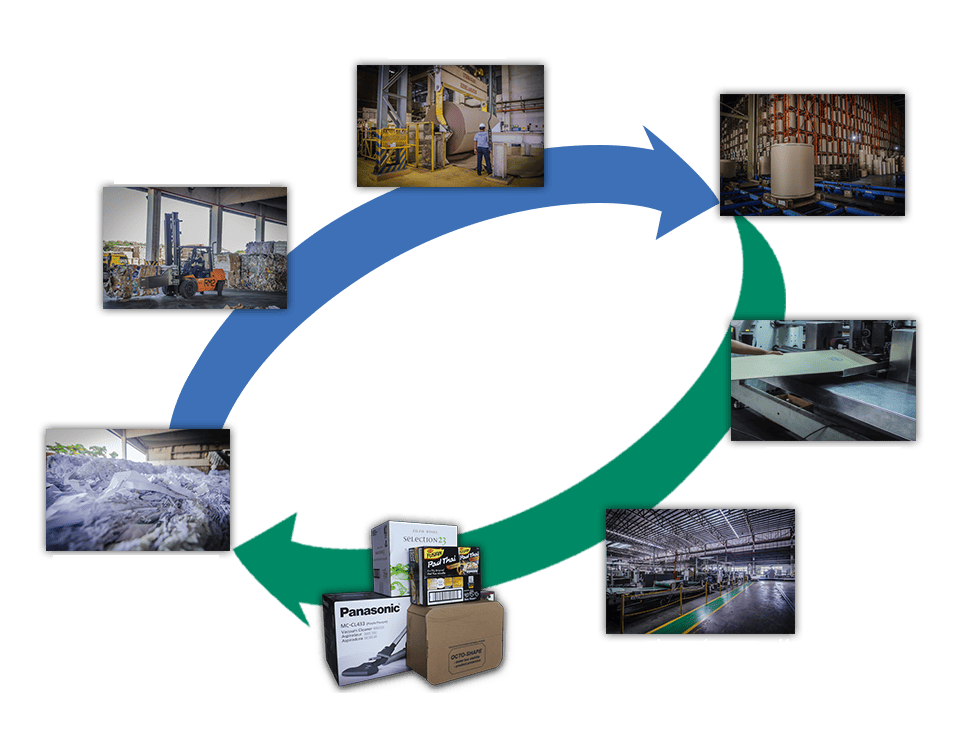 فرآیند بازیافت کاغذ